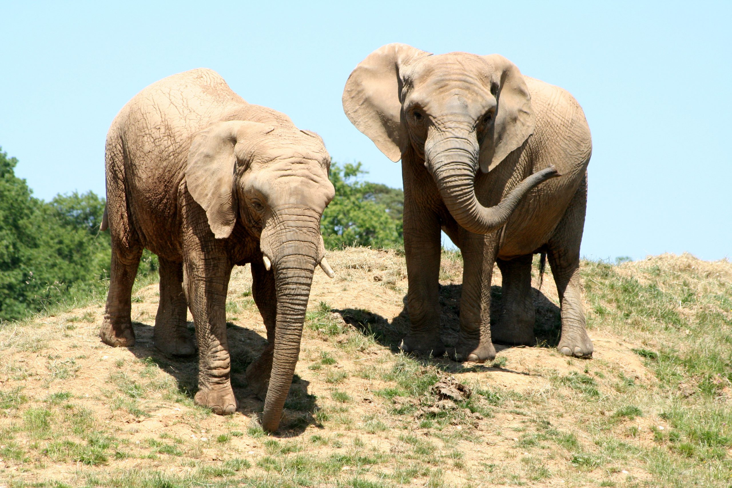 Thoiry Zoo Safari Les Voyages de Micheline