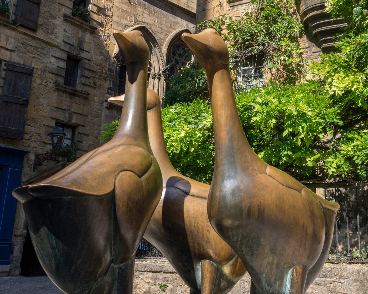 Foie Gras - Dordogne - France