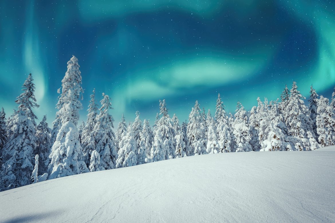 Aurora borealis over the frosty forest. Green northern lights above mountains. Night nature landscape with polar lights. Night winter landscape with aurora. Creative image. winter holiday concept.