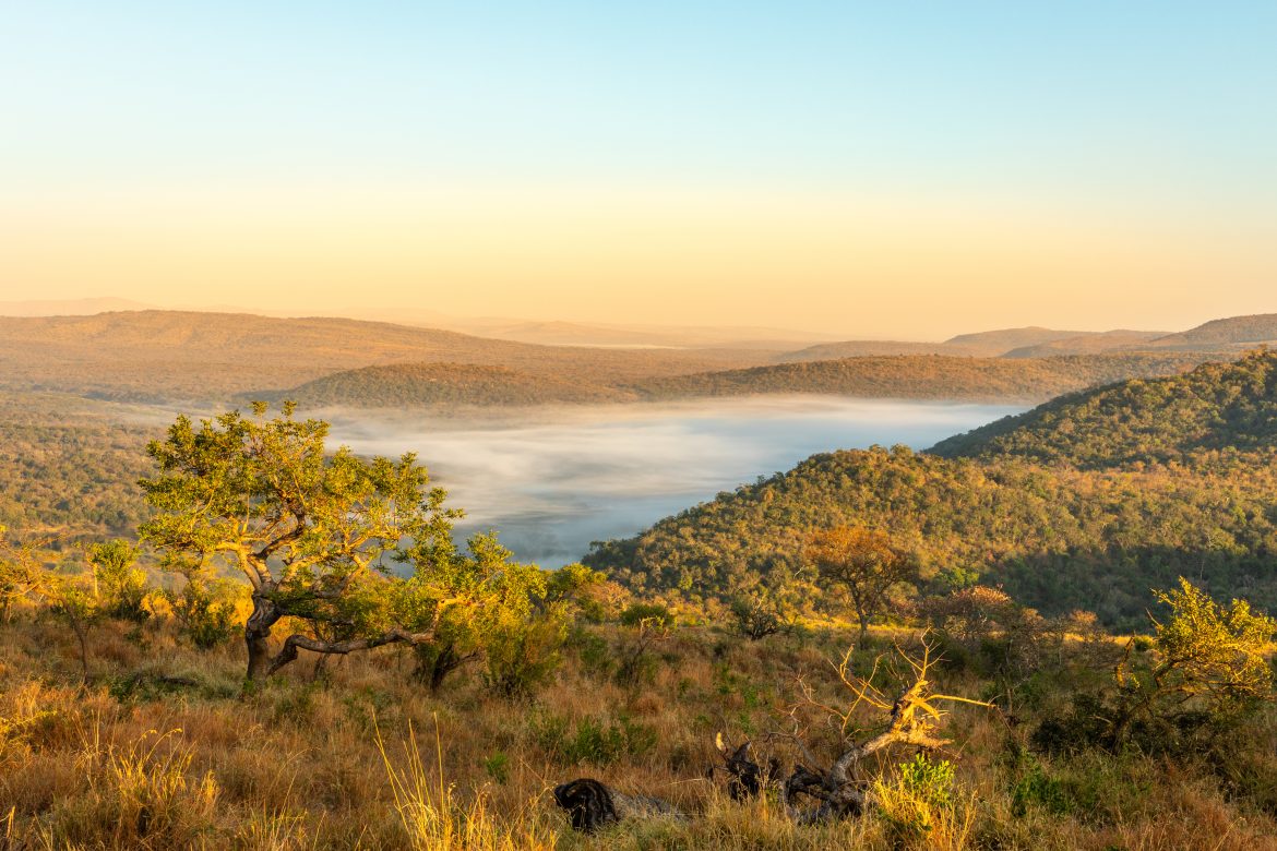 Vue matinale spectaculaire sur une vallée brumeuse, réserve animalière de Hluhluwe-Imfolozi, Afrique du Sud.