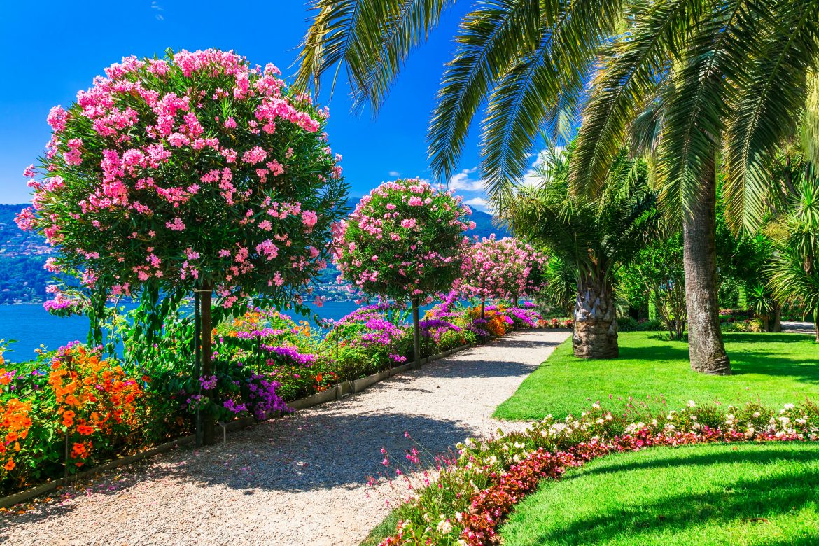Lac Majeur - la magnifique « Isola Madre » avec ses jardins fleuris ornementaux.