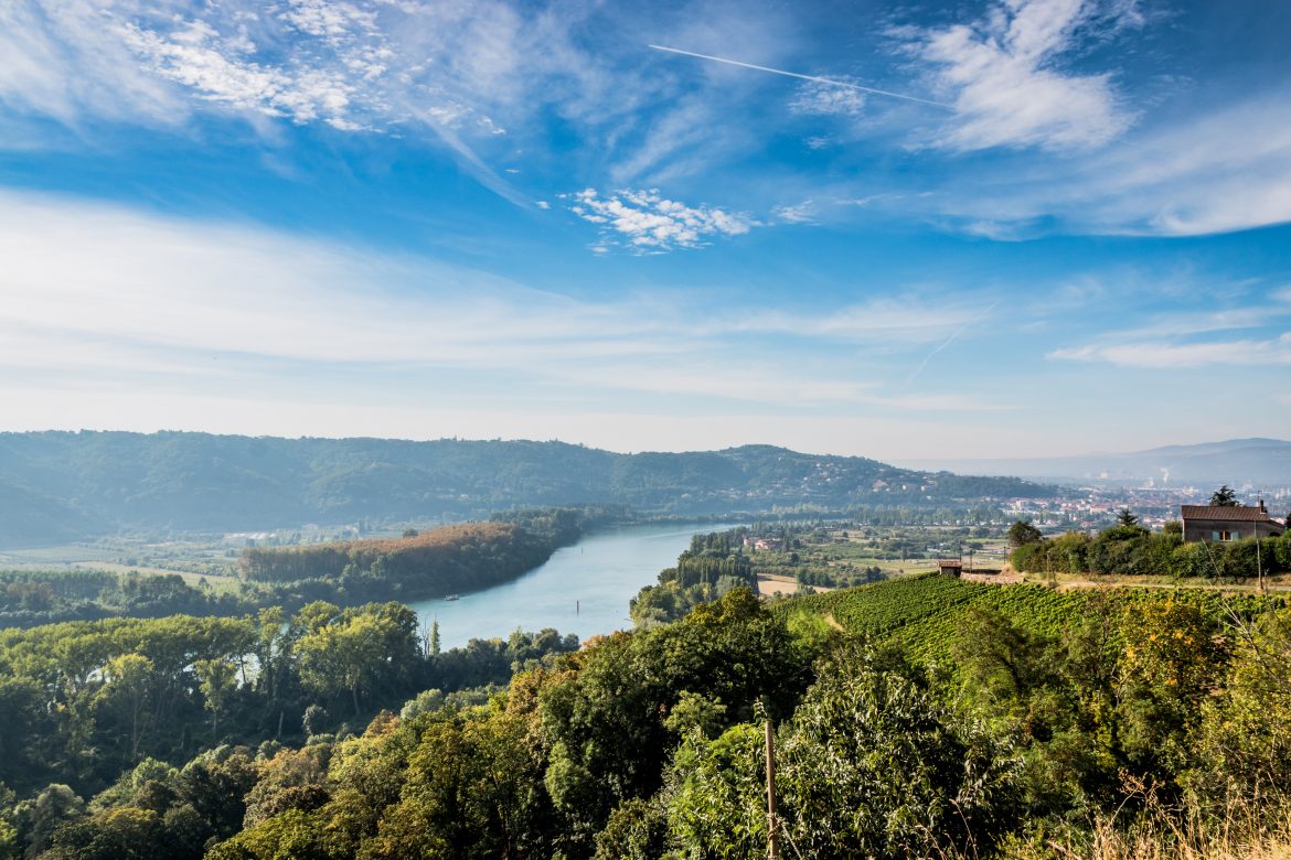 Panorama sur les champs de vignes et la vallée du Rhône