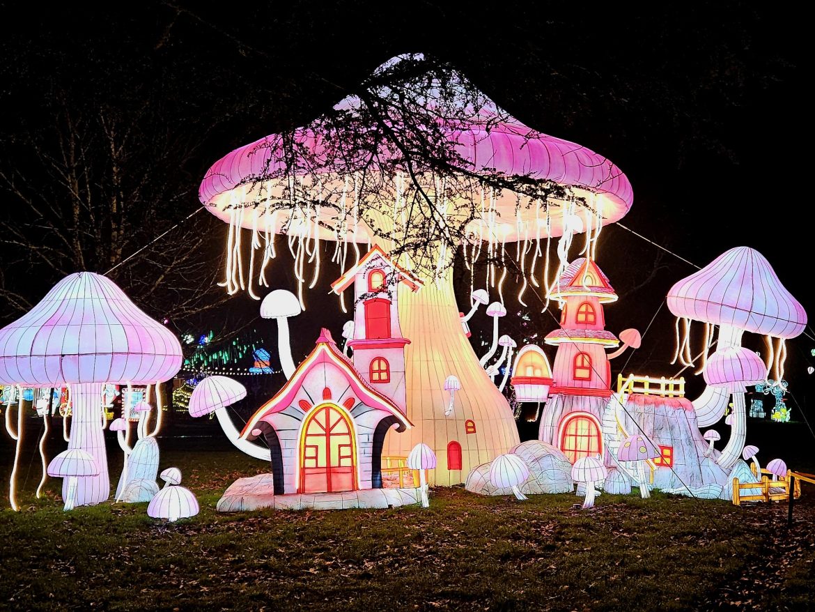 Festival Féerie des lanternes