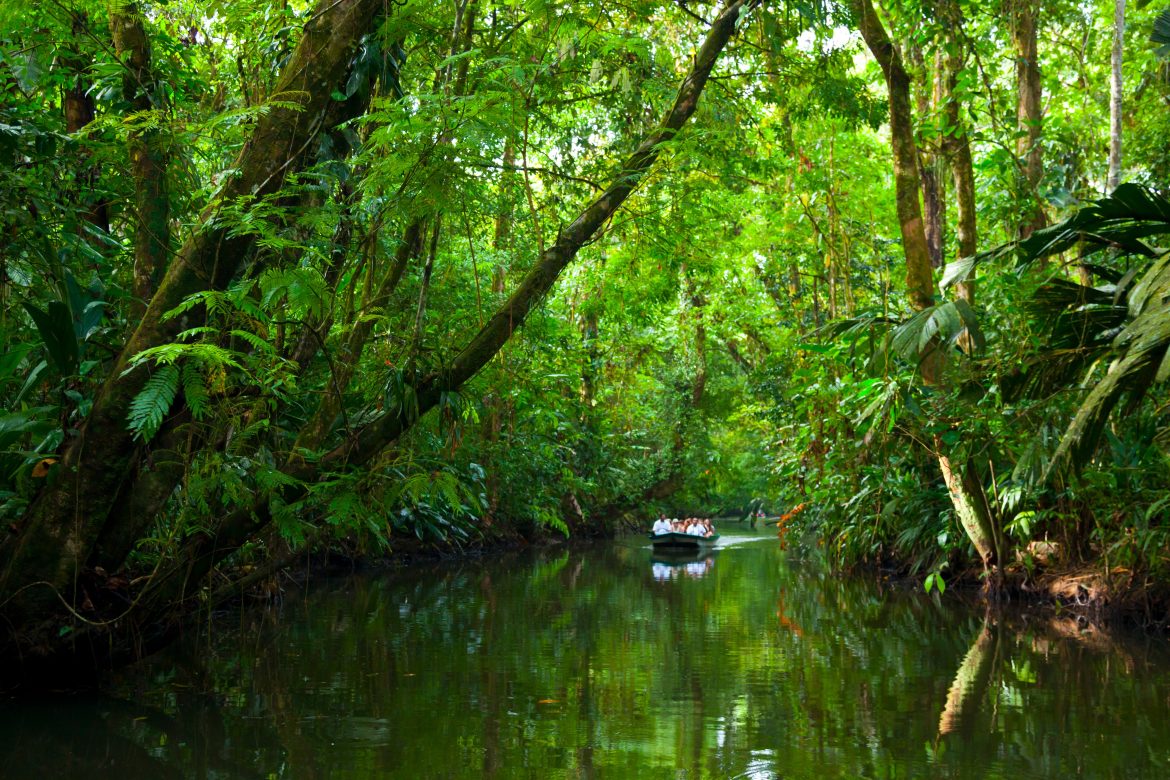 parc_tortuguero (2) Rivière Tortuguero, Parc National de Tortuguero, Costa Rica, Amérique Centrale, Amérique