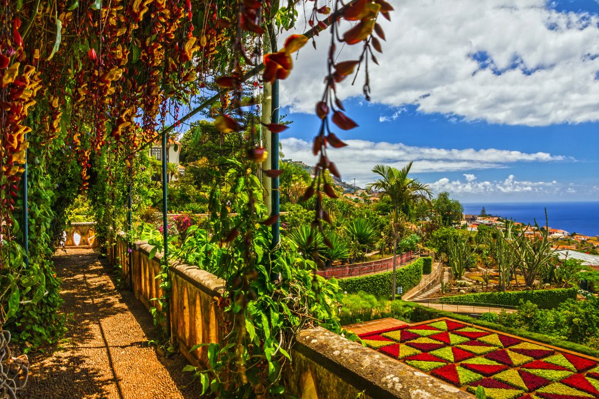 Madère, Jardin Botanique Monte, Funchal, Portugal