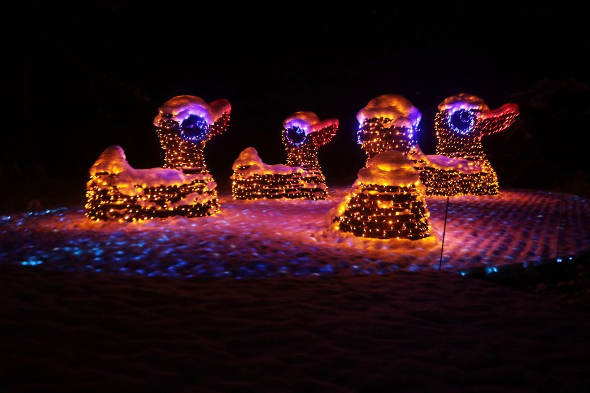 Île de Mainau sur le Lac de Constance décorée pour les fêtes de Noël.