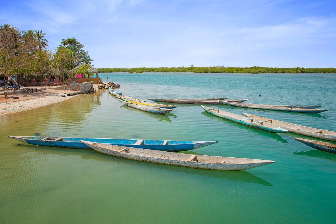 saloum Canoë en bois sur une lagune du Sénégal, en Afrique. Il s'agit du parc national naturel de Saloum, une réserve ornithologique. À l'arrière-plan, le ciel bleu et l'île aux baobabs.