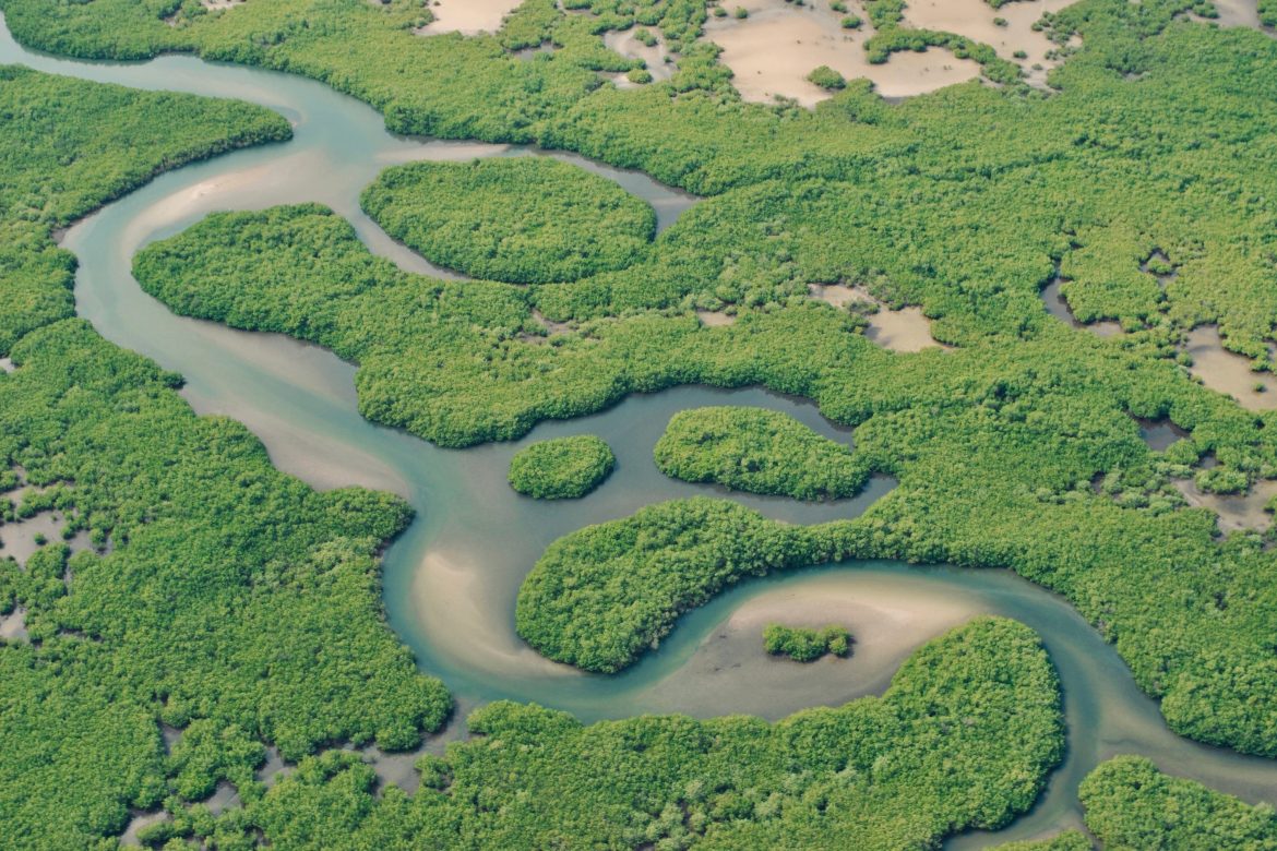sénégal_saloum Vue du ciel de Saloum et sa nature.