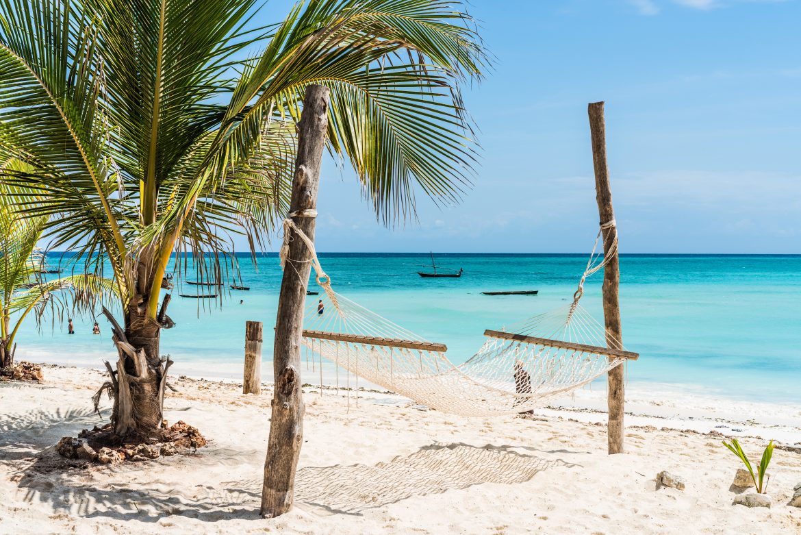 Magnifique vue de palmiers et de hamacs sur une plage de Zanzibar, avec le ciel bleu et l'océan en arrière-plan.