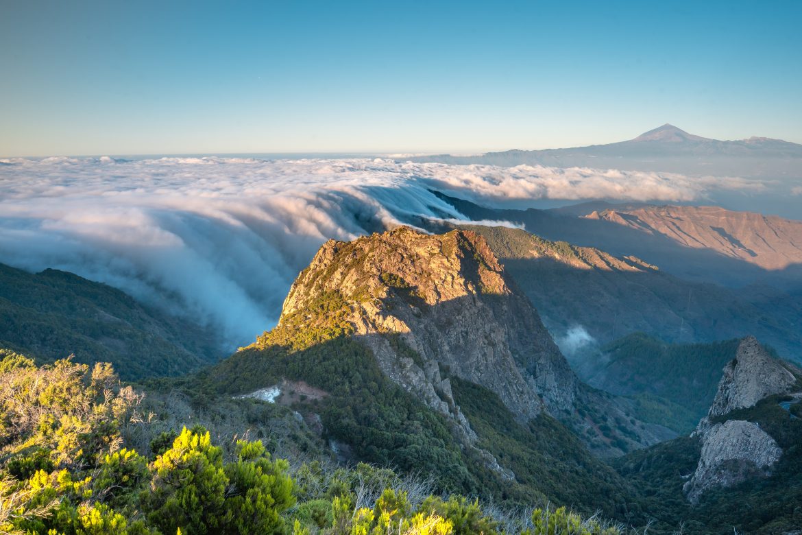 parc_national_garajonay Parc National Garajonay, Tenerife