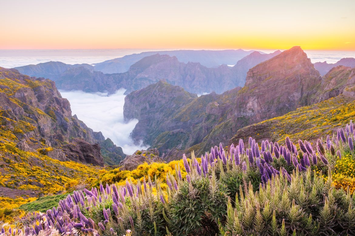 Vue depuis Pico do Arieiro, Portugal